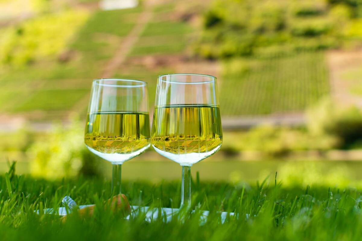 Quels vins d’Alsace choisir pour des accords mets et vins parfaits ? Wittenheim